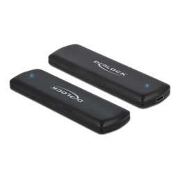 Delock External USB Type-C...